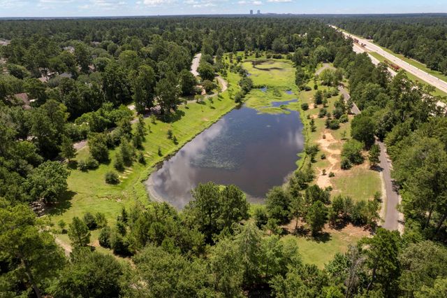 142 Golden Autumn Place, The Woodlands, TX 77384