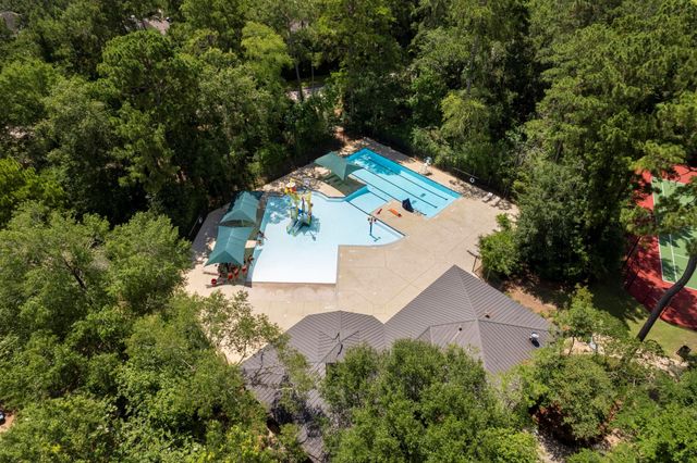 142 Golden Autumn Place, The Woodlands, TX 77384