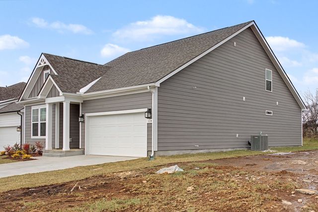 324 Black Bear Drive, Mount Pleasant, TN 38474