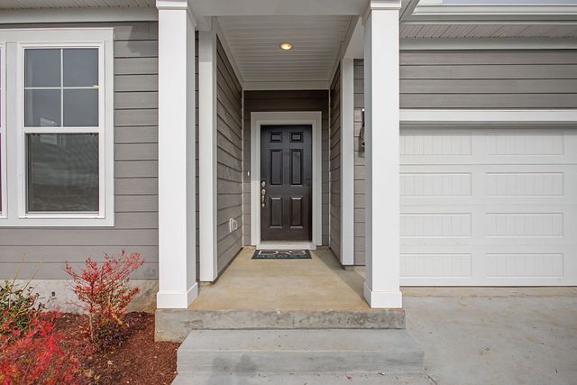324 Black Bear Drive, Mount Pleasant, TN 38474