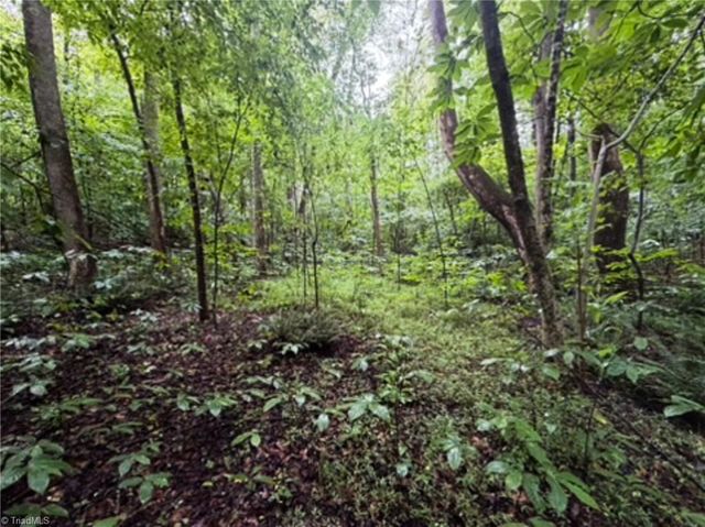 7767 Pearman Quarry Road, Kernersville, NC 27284