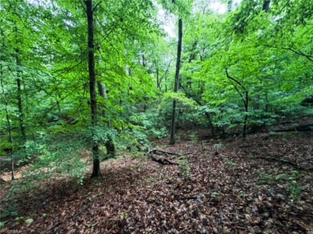 7767 Pearman Quarry Road, Kernersville, NC 27284