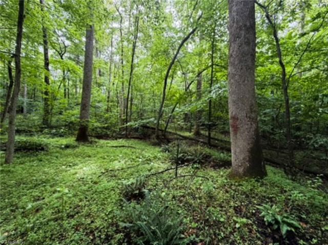 7767 Pearman Quarry Road, Kernersville, NC 27284