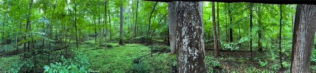 7767 Pearman Quarry Road, Kernersville, NC 27284