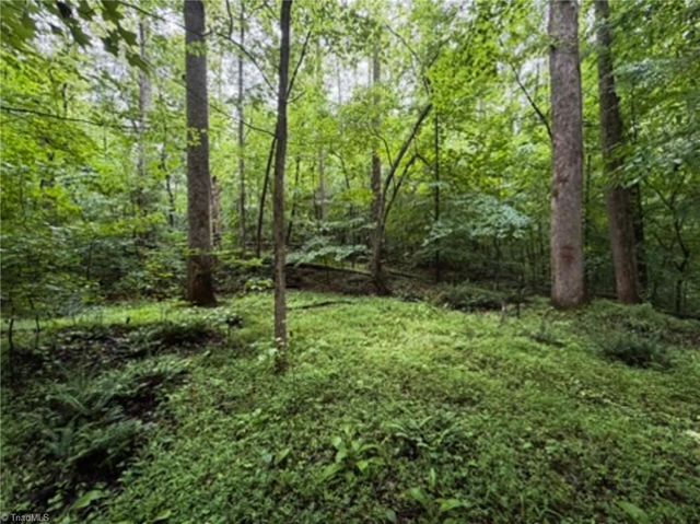 7767 Pearman Quarry Road, Kernersville, NC 27284