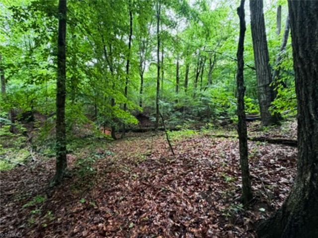 7767 Pearman Quarry Road, Kernersville, NC 27284