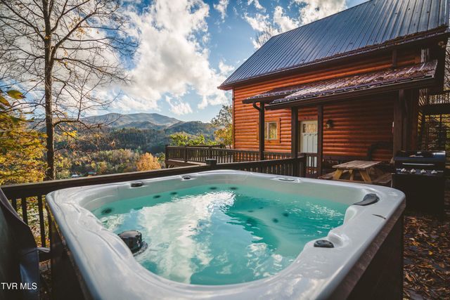 397 Lake Cabin Lane, Butler, TN 37640