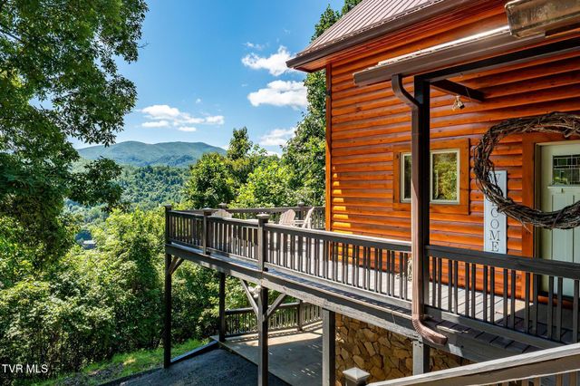 397 Lake Cabin Lane, Butler, TN 37640