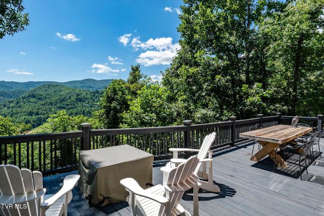 397 Lake Cabin Lane, Butler, TN 37640