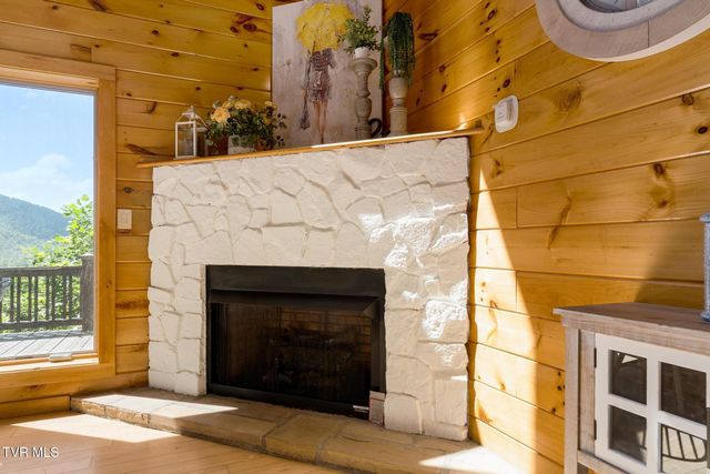 397 Lake Cabin Lane, Butler, TN 37640