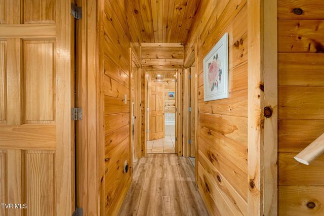 397 Lake Cabin Lane, Butler, TN 37640