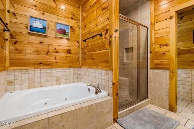 397 Lake Cabin Lane, Butler, TN 37640