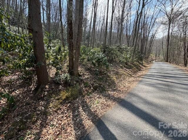 TBD Coyote Hollow Road 66, Waynesville, NC 28785