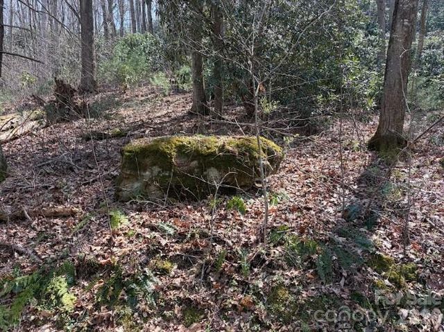TBD Coyote Hollow Road 66, Waynesville, NC 28785