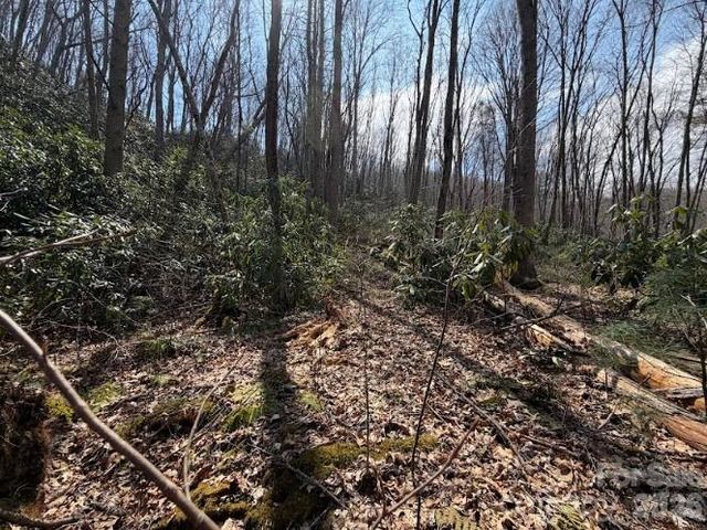 TBD Coyote Hollow Road 66, Waynesville, NC 28785