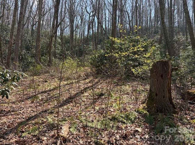 TBD Coyote Hollow Road 66, Waynesville, NC 28785