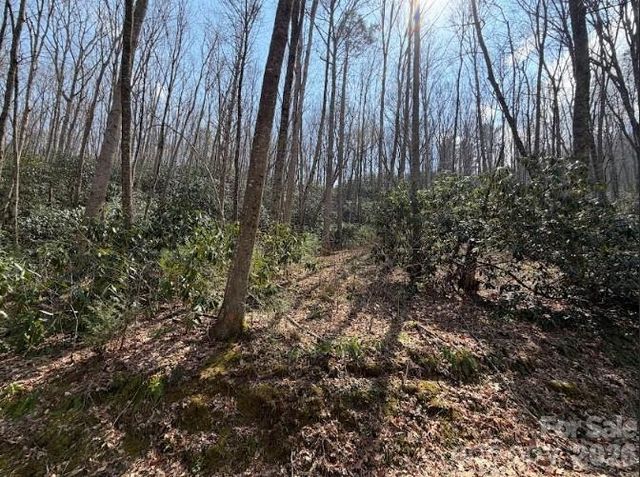 TBD Coyote Hollow Road 66, Waynesville, NC 28785