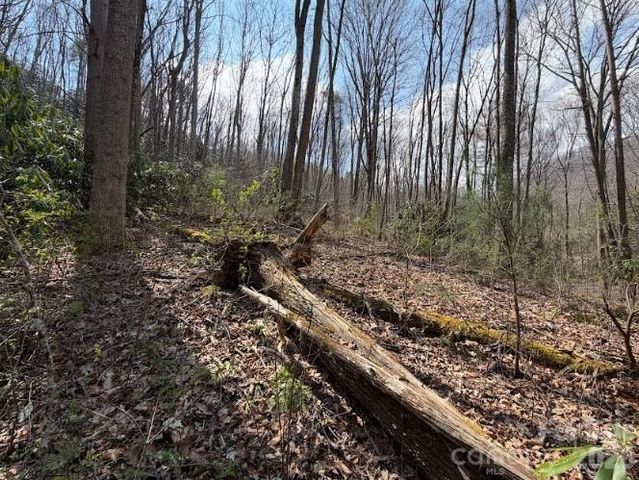 TBD Coyote Hollow Road 66, Waynesville, NC 28785