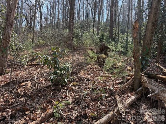 TBD Coyote Hollow Road 66, Waynesville, NC 28785