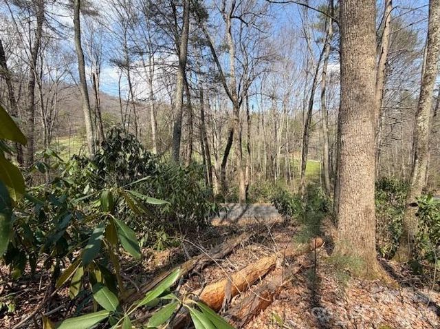 TBD Coyote Hollow Road 66, Waynesville, NC 28785