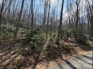 TBD Coyote Hollow Road 66, Waynesville, NC 28785