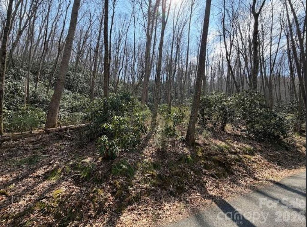 TBD Coyote Hollow Road 66, Waynesville, NC 28785