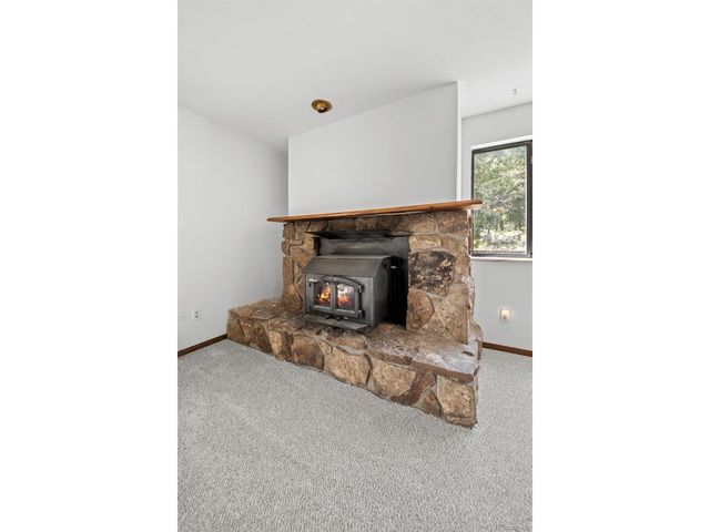 12115 Bear Park Rd, Conifer, CO 80433