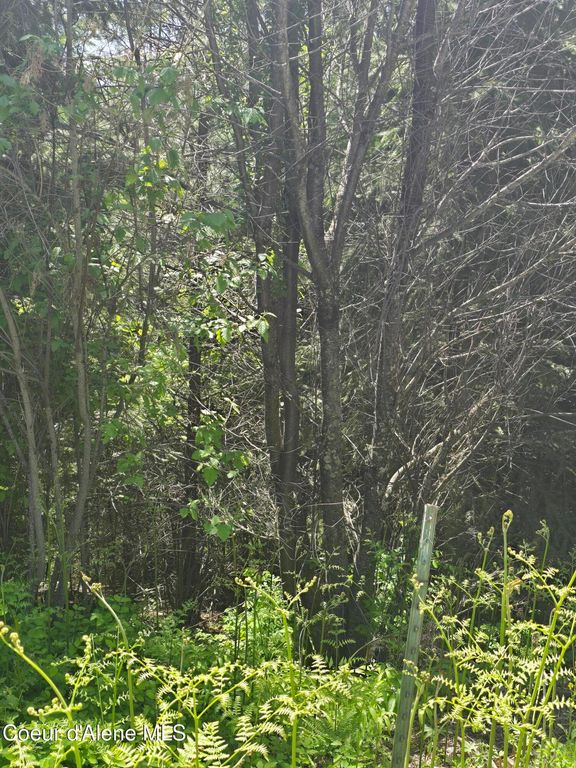 1200 Alpine Dr, Fernwood, ID 83830