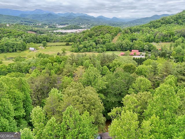 325 Walnut Mountain Road, Rabun Gap, GA 30568