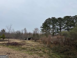 206 Gooseneck Lane, Hawkinsville, GA 31036