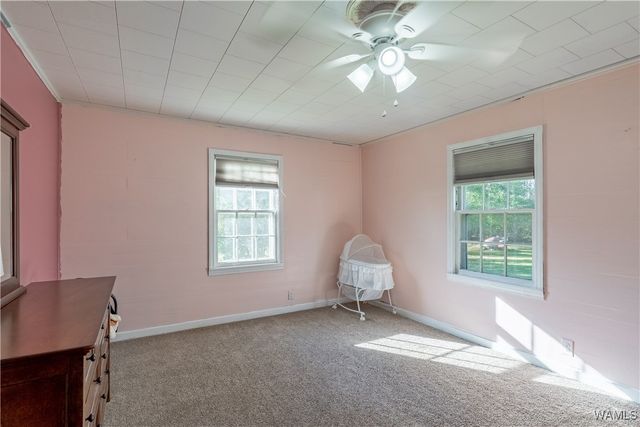 107 13th Ave SW, Reform, AL 35481