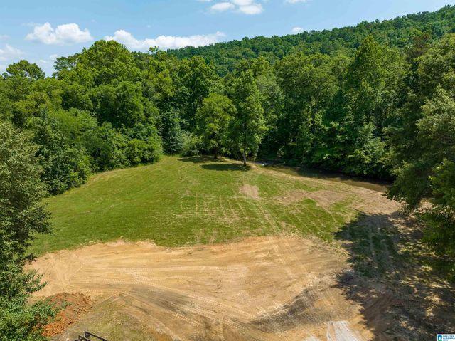 3860 HIGHWAY 174, Springville, AL 35146