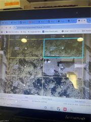 1509 Acacia AVE, Lehigh Acres, FL 33972