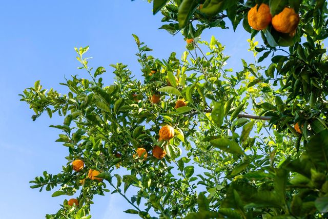 9464 Roseport Way, Sacramento, CA 95826