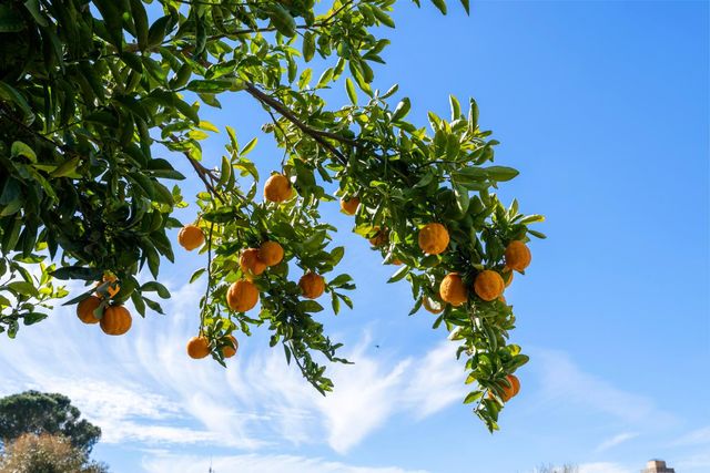 9464 Roseport Way, Sacramento, CA 95826