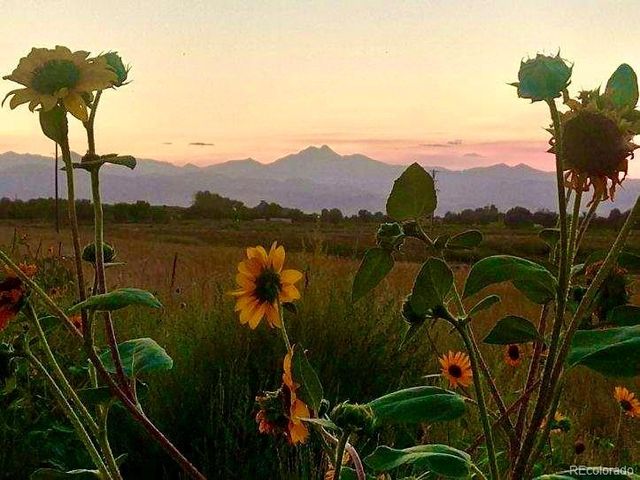 2832 County Road 20, Longmont, CO 80504