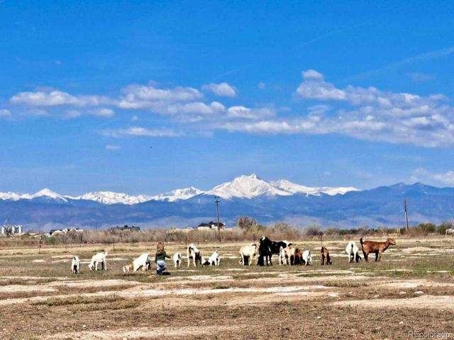 2832 County Road 20, Longmont, CO 80504