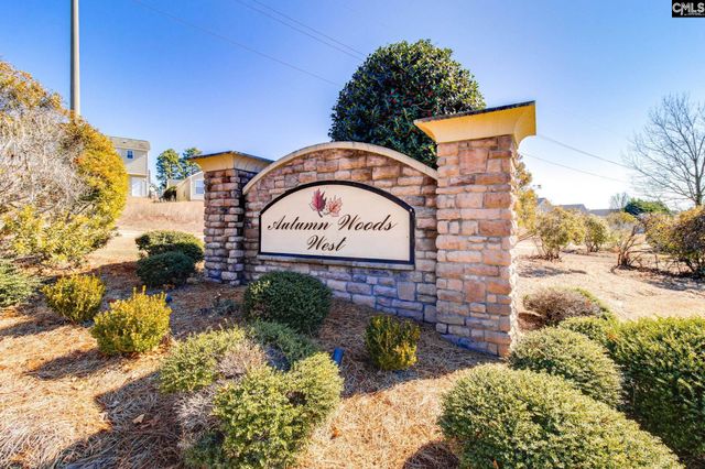 1009 Winter Way, Lexington, SC 29073