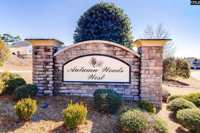 1009 Winter Way, Lexington, SC 29073