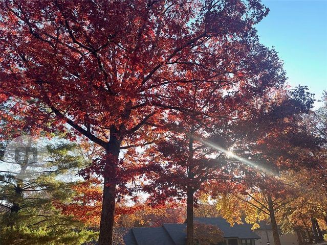 23 Wolviston Circle, Bella Vista, AR 72714