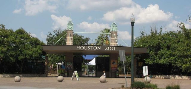 1905 Oakdale Street, Houston, TX 77004