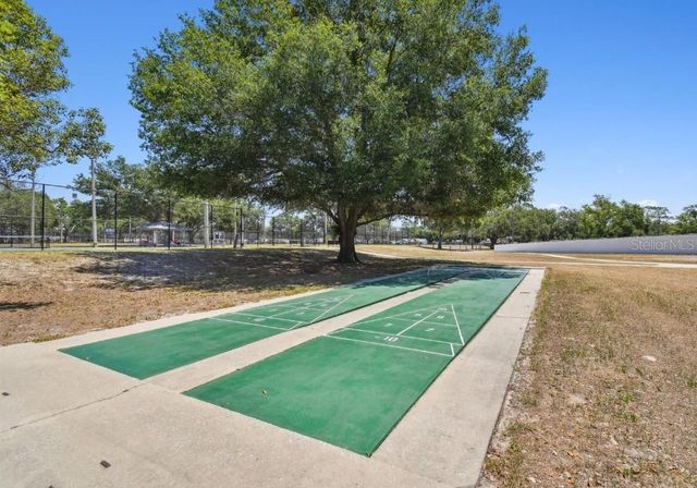 23223 CLUB VILLAS DRIVE 23223, Land O Lakes, FL 34639