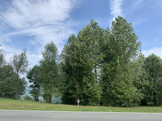 755 Sunset Circle, Jasper, TN 37347