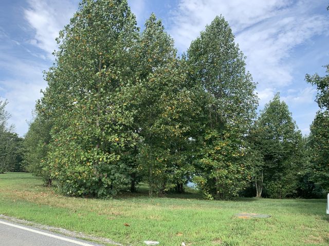 755 Sunset Circle, Jasper, TN 37347
