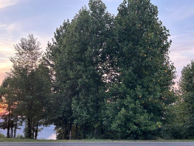 755 Sunset Circle, Jasper, TN 37347