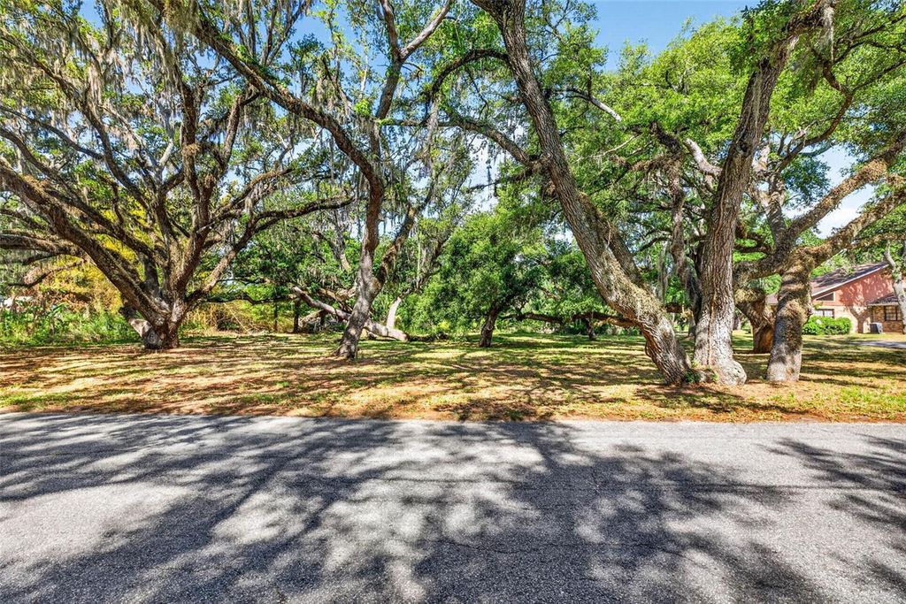 5355 BERNADETTE DR, Zephyrhills, FL 33541