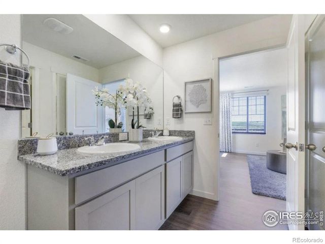 4990 Buelingo Drive, Windsor, CO 80528