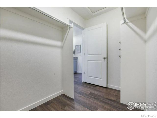 4990 Buelingo Drive, Windsor, CO 80528
