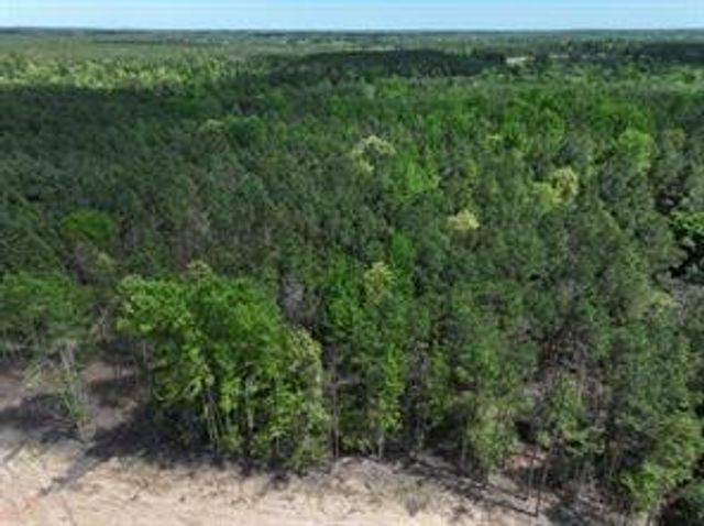 TBD Williamson Way, Lovelady, TX 75851