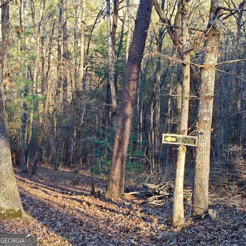 38 Sweetwater Trail 38, Epworth, GA 30541